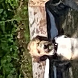 Meet your Posher, Carrie